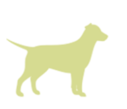 Pet Food