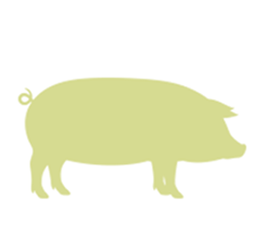 Porc et Truie